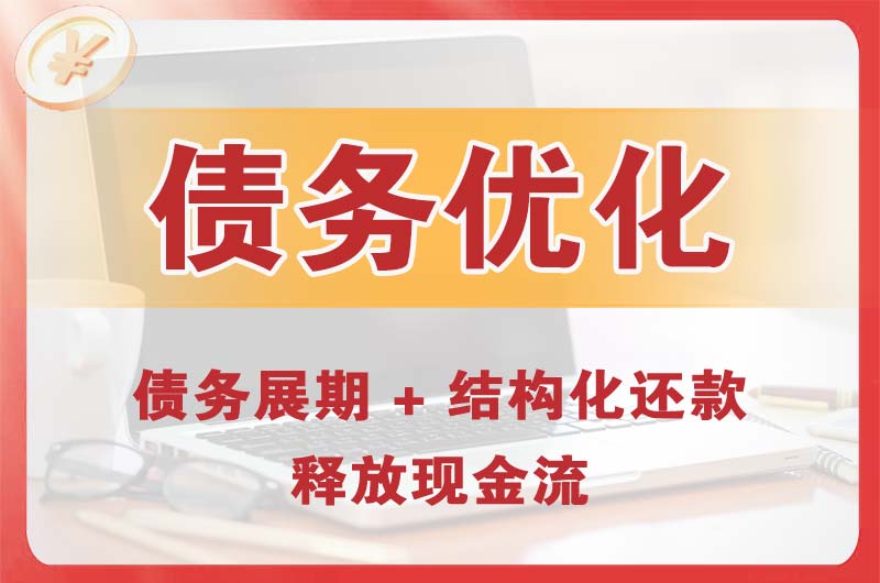 南皮债务优化