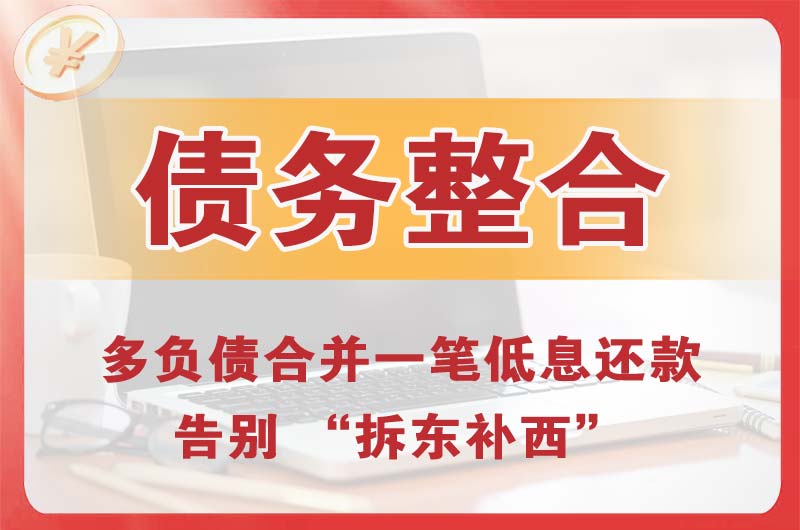 南皮债务整合