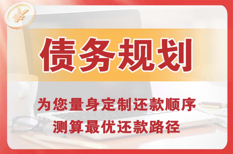 南皮债务规划